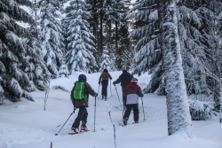 WE World Snow Day - Télémark et ski de Randonnée