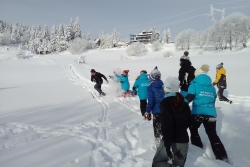 Entrainement pré-hivernal en ski de fond